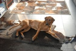 20120304_Relaxen auf dem Lieblingsteppich 0027